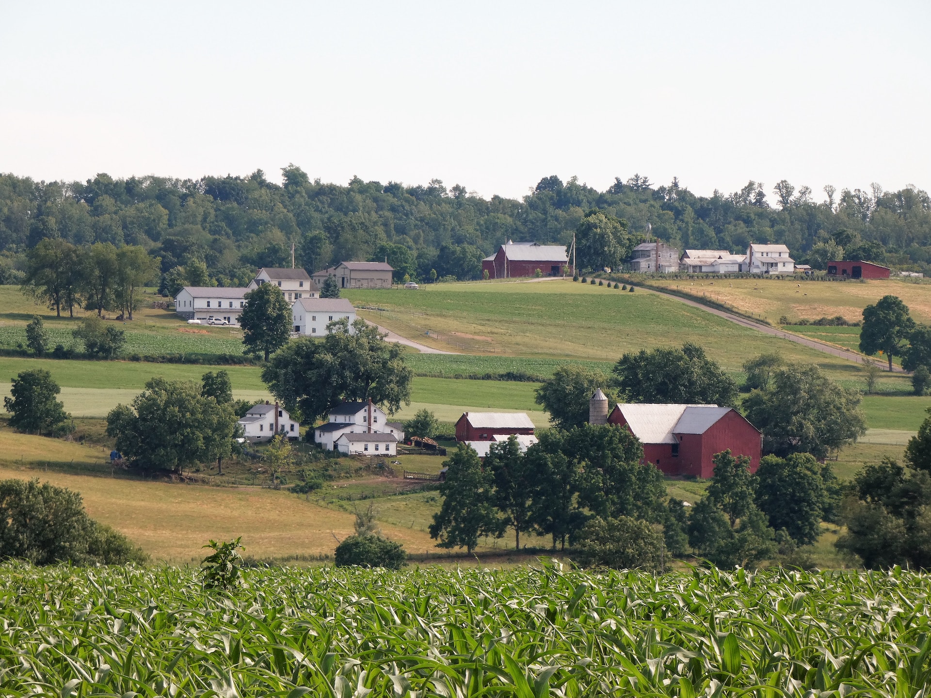 Rolling hills with barns in the Ohio Amish countryside